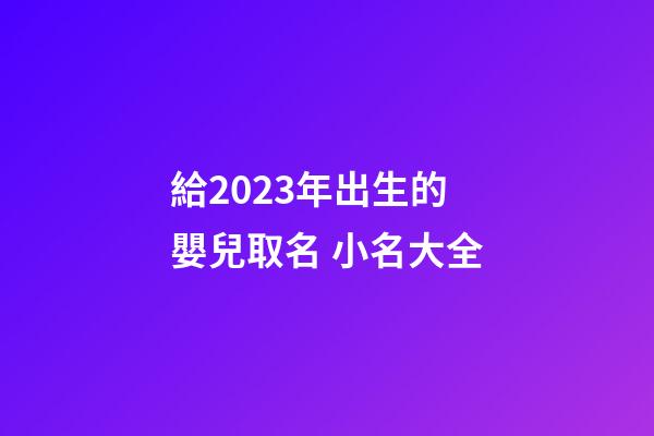 給2023年出生的嬰兒取名 小名大全